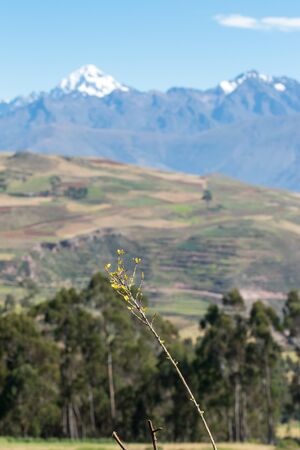 The inescapable snow peaked Andes in the Sacred Valley of Peru.の写真素材