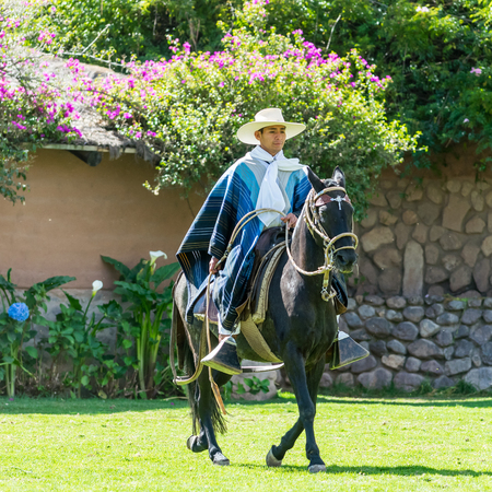 Beautiful traditional Peruvian horse and dance show performance at the Sanctuary Lodge in the Sacred Valley of Peru.のeditorial素材