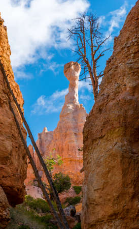 Bryce Canyon National Park Queen's Garden Trail ET Rock Formationsの写真素材