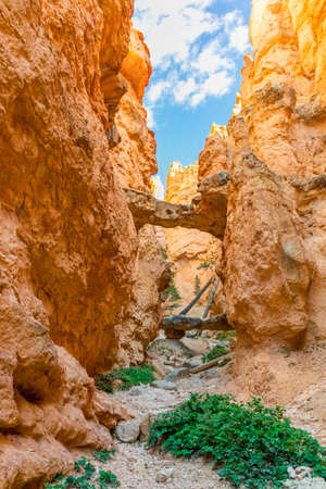 Bryce Canyon National Park Two Bridges Rock Formationsの写真素材