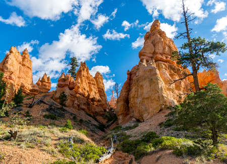 Bryce Canyon National Park Queen's Garden Trail ET Rock Formationsの写真素材
