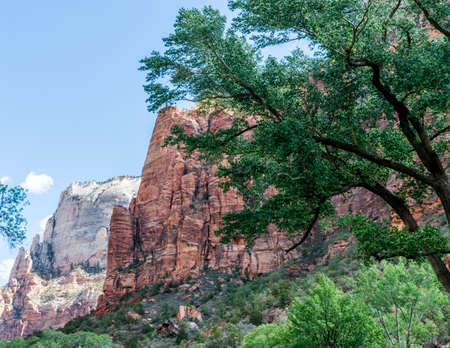 Hiking The Lower Emerald Pool Trail in Zion National Parkの写真素材