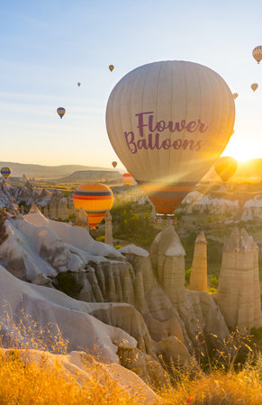 Hot Air Balloons Over Love Valley in Cappadocia, Turkey at Dawn.の写真素材