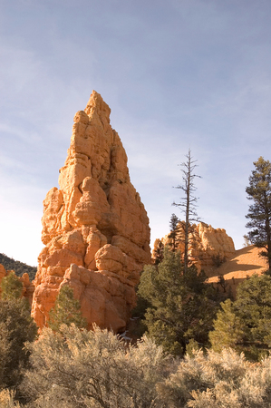 Beautiful red-rock formation reflecting the sun in the evening light at Bryce Canyon, Utah.の写真素材