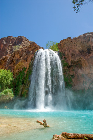 World famous Havasu Falls shot taken from the bottom of the falls.の写真素材