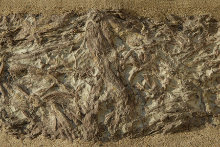 Stone Grunge Backgroundの写真素材