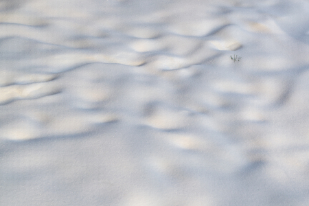 Snow background textureの写真素材