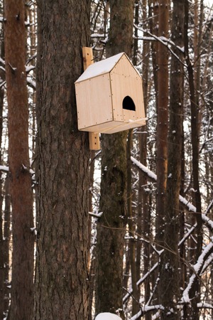 Wooden birdhouse hanging on the tree at winterの写真素材