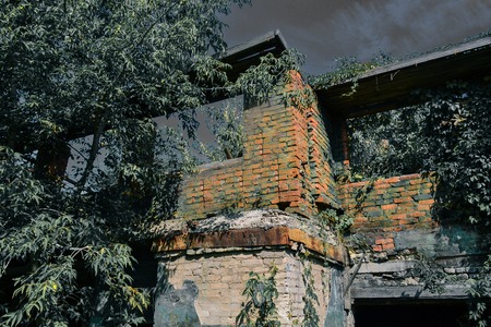 Old burnt house overgrown with plants in the moonlit night. Horror. Eyes in the dark.の写真素材