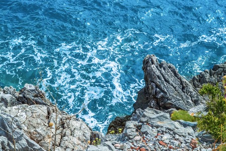 Sea view from the mountain. The tree grows near the water. Adriatic Sea.の写真素材