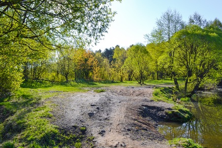 The path passes in the forest near the lake. Early morning. Spring. Russia