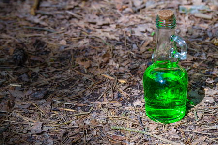 Bottle with green liquid in the forestの写真素材