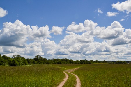 Country road through the field. Sky with cloudsの写真素材