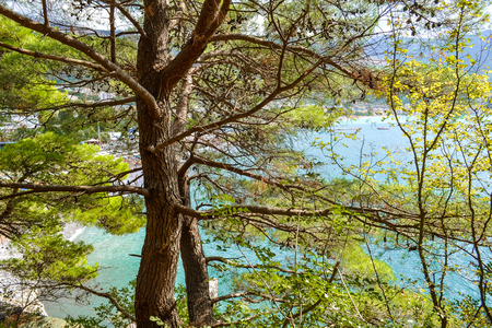Sea view of turquoise color from the mountain, Montenegro. The Budva Riviera. Beciciの写真素材