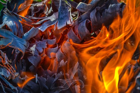 Abstract background of fire, coals, flames and twisting elements of ash