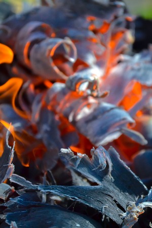 Abstract background of fire, coals, flames and twisting elements of ashの写真素材