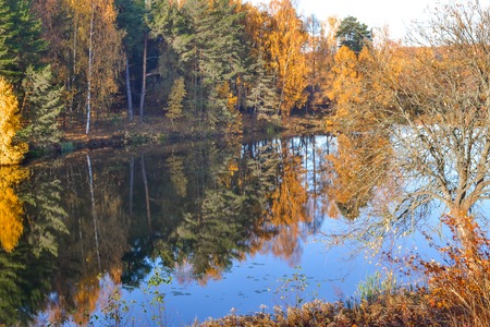 Autumn landscape with colorful forest. Colorful foliage over the lake with beautiful forests in red...
