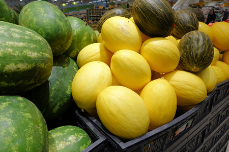 Melons in the market, a lot of melons. large yellow fruitの写真素材