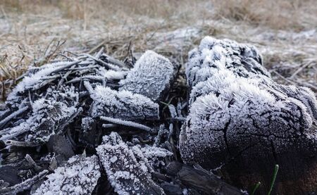 Burnt logs of an old bonfire covered with hoarfrost and ice crystals. Beautiful abstract background.の写真素材