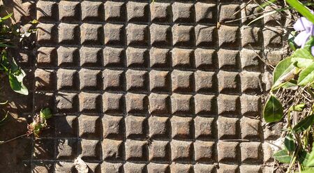 Cast iron tile consisting of a square pattern. Tile surrounded by grass