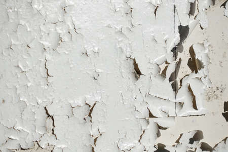 Wood with old peeling paint for backgroundの写真素材