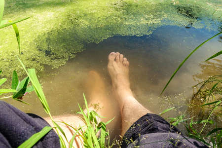 A man lowered his feet into a forest lake with green duckweedの写真素材
