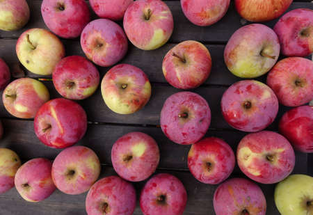 Red apples on the table. Background imageの写真素材