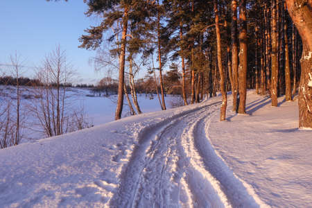 Dirt road through the snow going through the forest. Winter landscapeの写真素材