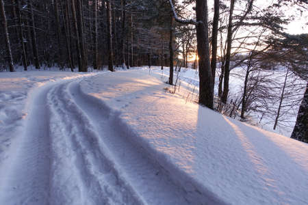 picturesque winter landscape. Dirt road in the forest covered in snow. Russiaの写真素材