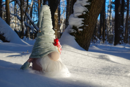 A toy gnome in a cap on the snow, a winter toy gnome sits in a white snowdrift.の写真素材