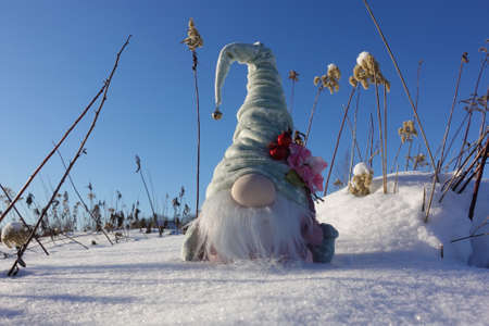 A toy gnome in a cap on the snow, a winter toy gnome sits in a white snowdrift.の写真素材