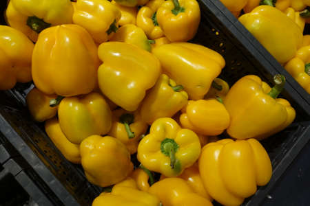 Fresh bell pepper texture on a counter in the supermarketの写真素材