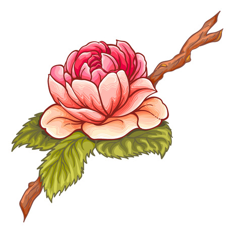 Camellia flower on branch with leaves. Botanical Illustration. Design element for greeting cards, invitations.のイラスト素材