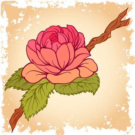Camellia flower on branch with leaves. Botanical Illustration. Design element for greeting cards, invitations.のイラスト素材