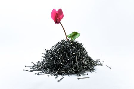 concept of a fertile fieldの写真素材