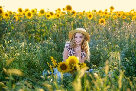 Sunflowers at sunsetの写真素材