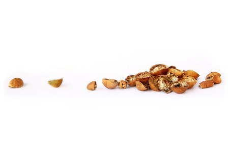 Dried Rotten Limes are on White Background.の写真素材