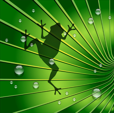 Frog shadow is on Green Tone Leaf. Vector and Illustration, EPS 10のイラスト素材