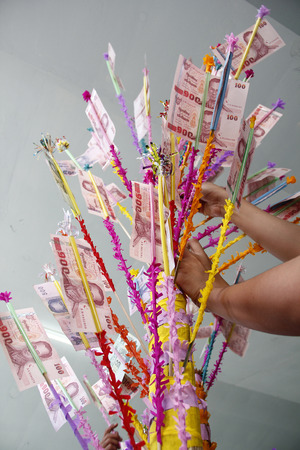 The Banknotes in Katin Tree for Katin Ceremony of Buddhist.の写真素材