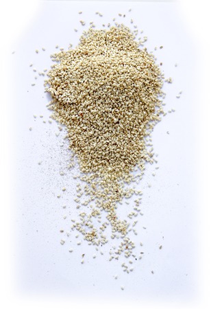 sesames are on white background.の写真素材