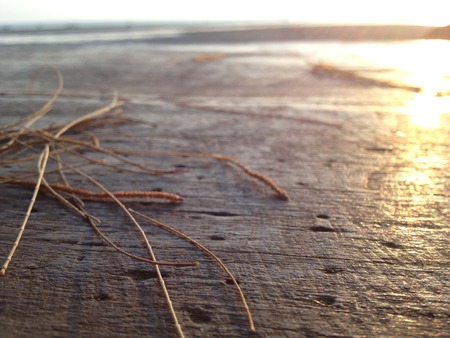 The First sunの写真素材