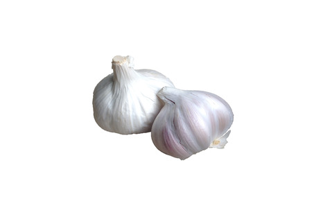 Garlicの写真素材