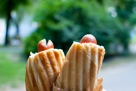 French hot dog on nature background delicious and healthy foodの写真素材