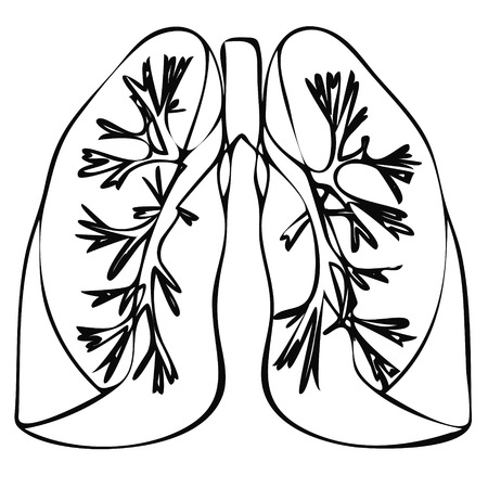 Human Lung anatomy diagram. Lung Illness respiratory cancer, Lung graphics. Lung flat style imageのイラスト素材