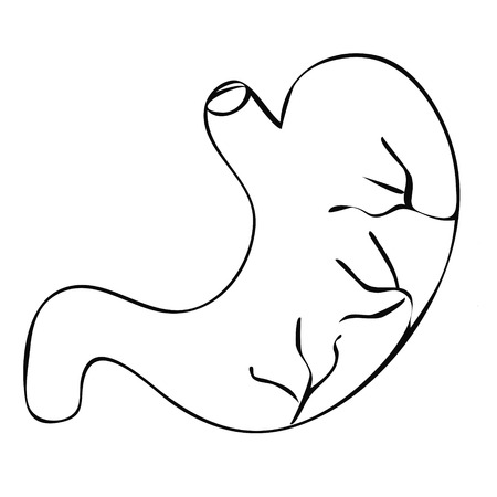 Stomach icon. Stomach icon vector. Stomach icon simple. Stomach icon app. Stomach icon new. Stomach icon logo. Stomach icon sign. Stomach icon ui. Stomach icon eps.Stomach icon art.のイラスト素材