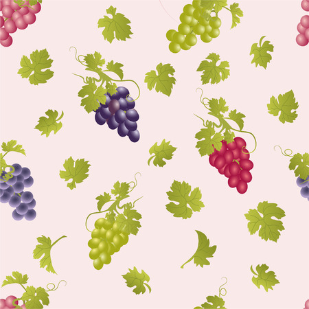 Vector repeating pattern with grape clusters.のイラスト素材