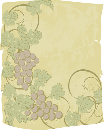 Vector scroll with grunge texture and vines.のイラスト素材