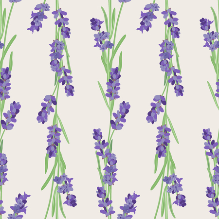 Seamless pattern with lavender flowers.のイラスト素材