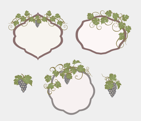Background for text with vines and bunches of grapes.のイラスト素材