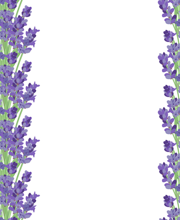 The background for the text label of the packaging the card with lavender flowers.のイラスト素材